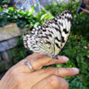 Meet your Posher, Lori